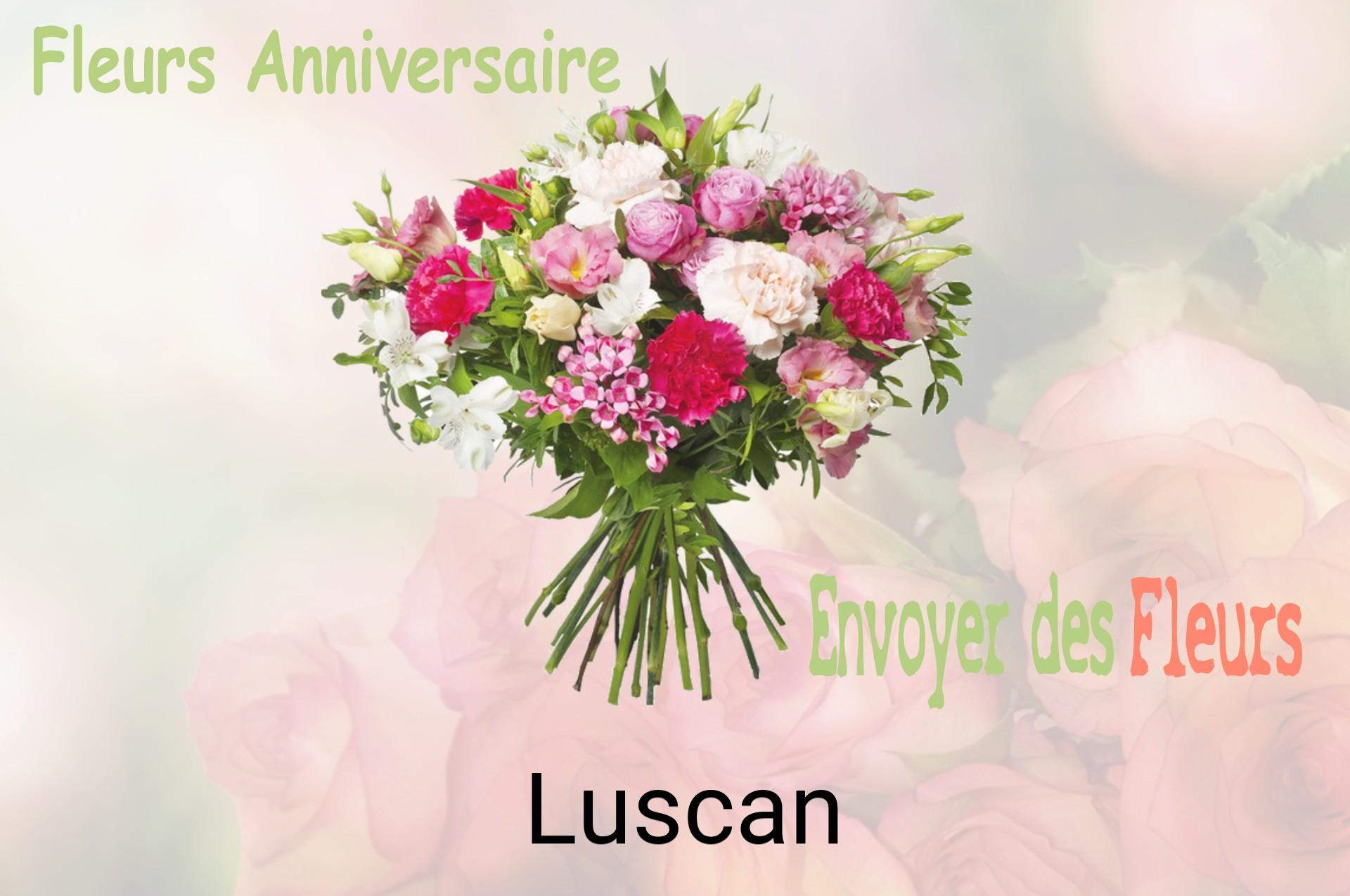 Bouquet de fleurs d’anniversaire livré à Luscan