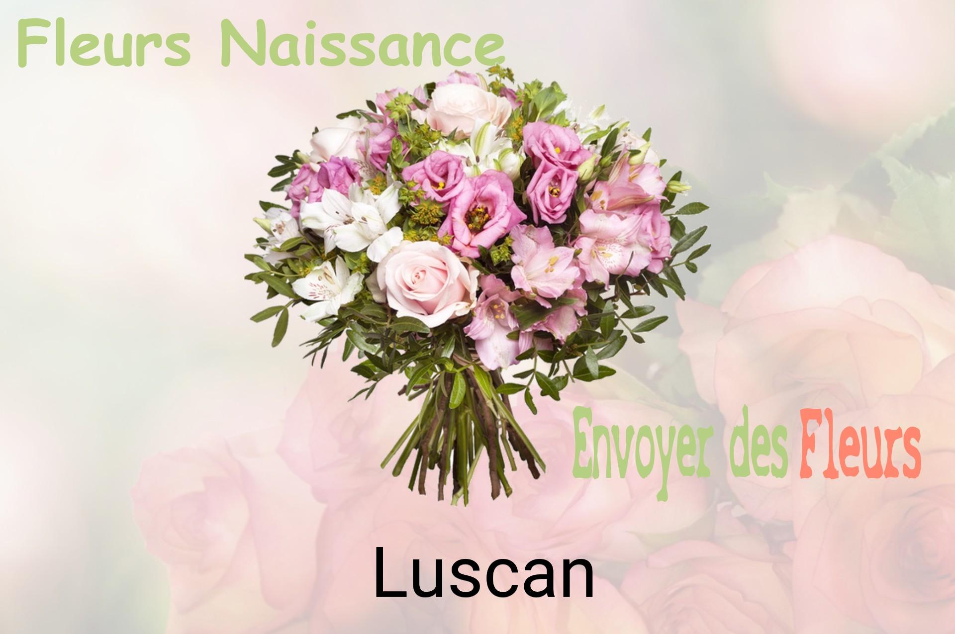 Bouquet de fleurs de naissance livré à Luscan