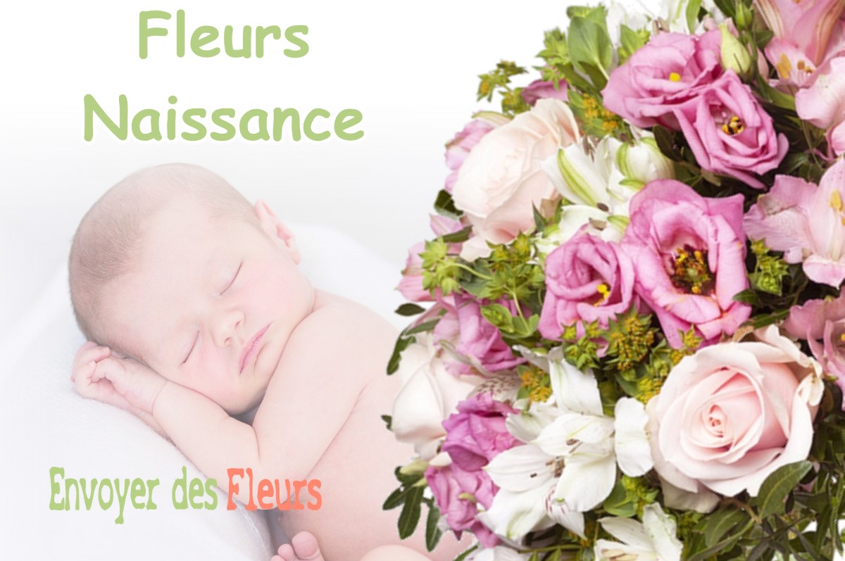 lIVRAISON FLEURS NAISSANCE à LUSCAN