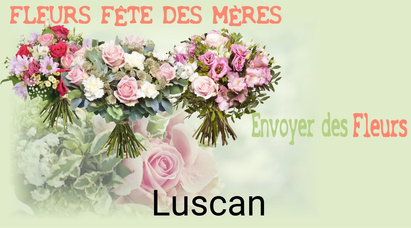Bouquet de Fête des Mères livré à Luscan
